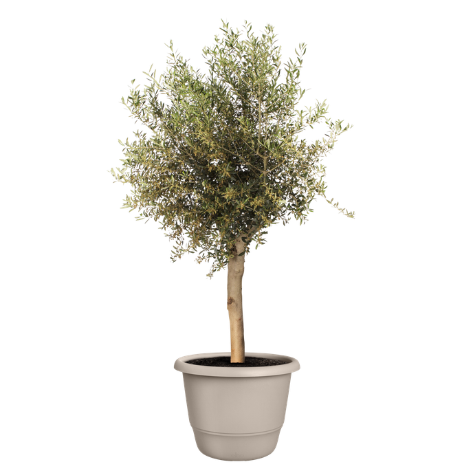 amiga rund 55cm pilzbeige